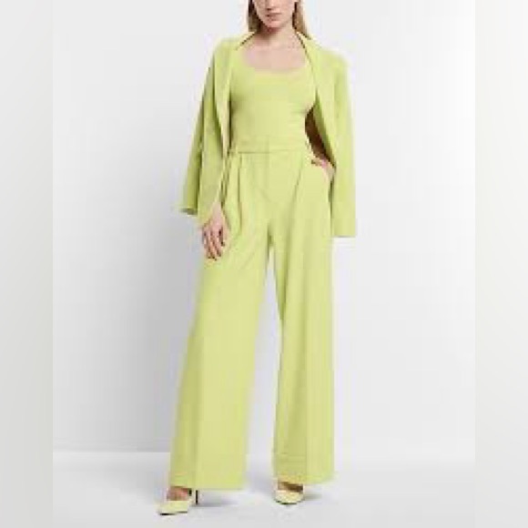 Express Stylist Super High Waisted Pleated Wide Leg Pant Size 10 - Picture 1 of 7